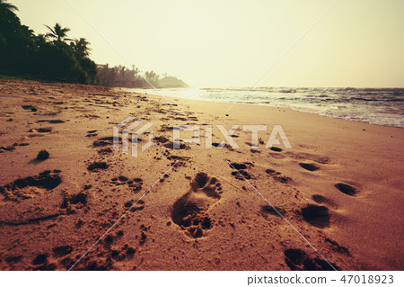 footprints on tropical island beach in the sunrise 47018923