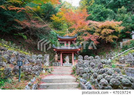 京都愛知Nembutsu-ji年度千佛紅葉和秋葉 47019724