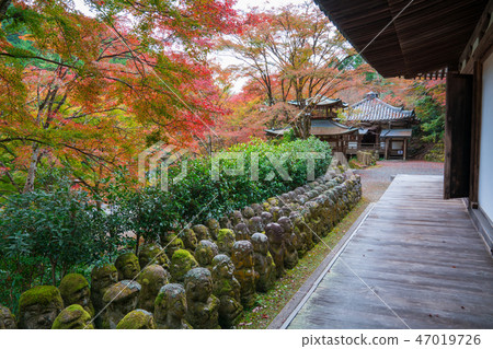 京都愛知Nembutsu-ji年度千佛紅葉和秋葉 47019726