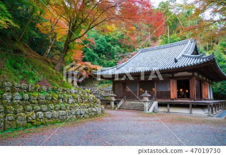 京都愛知Nembutsu-ji年度千佛紅葉和秋葉 京都愛知Nembutsu-ji年度千佛紅葉和秋葉 47019730