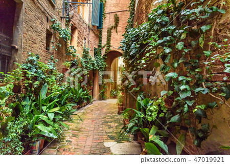 Medieval narrow street Vicolo degli Orefici Siena 47019921