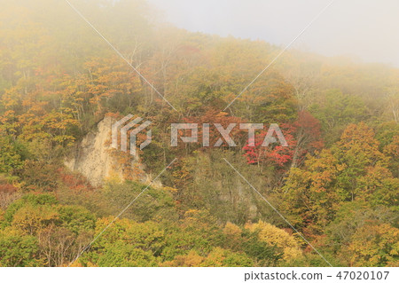 晨霧和山面（北海道Rikubetsu-cho） 47020107