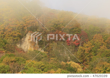 晨霧和山面（北海道Rikubetsu-cho） 47020109