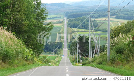 過山車路徑 過山車路徑 47021118