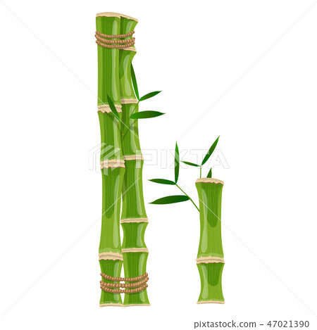 Áo sơ mi dài tay trơn Bamboo DATB613