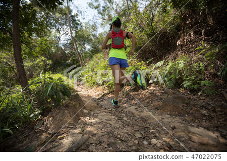 trail runner running on tropical forest trail trail runner running on tropical forest trail 47022075