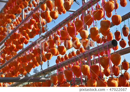 Koro Persimmon Anpo Persimmon Koro Persimmon Anpo Persimmon 47022087