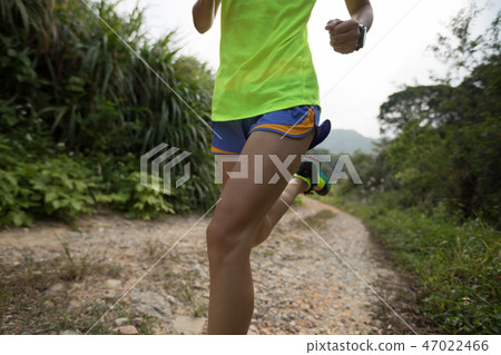 young fitness woman trail runner running on forest 47022466