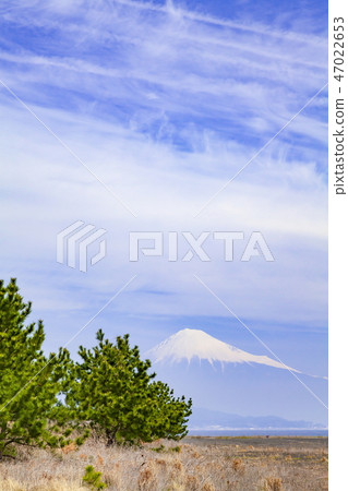 Mt. Fuji and Miho no Matsubara, Miho Beach, Shimizu-ku, Shizuoka-shi, Shizuoka Prefecture Mt. Fuji and Miho no Matsubara, Miho Beach, Shimizu-ku, Shizuoka-shi, Shizuoka Prefecture 47022653