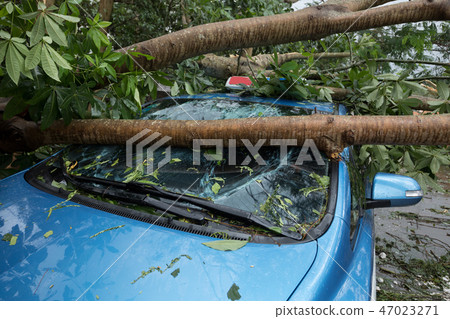 damaged car after super typhoon   47023271