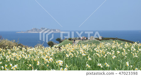 Gunkanjima and narcissus Gunkanjima and narcissus 47023398