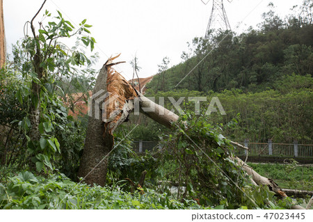 ,damages after super typhoon   47023445