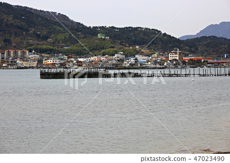 Bamboo forest, natural heritage, scenic spot, fishing, south sea 47023490