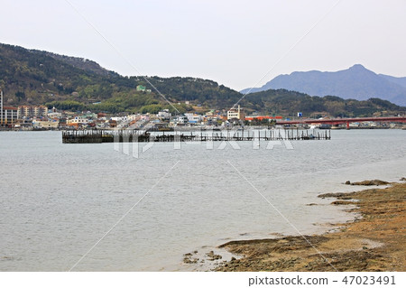 Bamboo forest, natural heritage, scenic spot, fishing, south sea 47023491