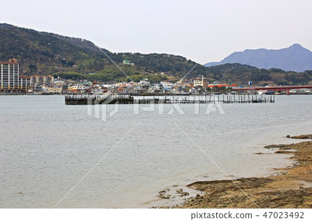 Bamboo forest, natural heritage, scenic spot, fishing, south sea 47023492