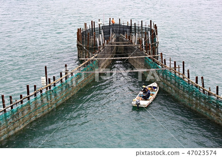 Bamboo forest, natural heritage, scenic spot, fishing, south sea 47023574