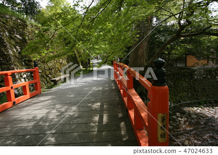 Ohara Sansenin的理由 47024633