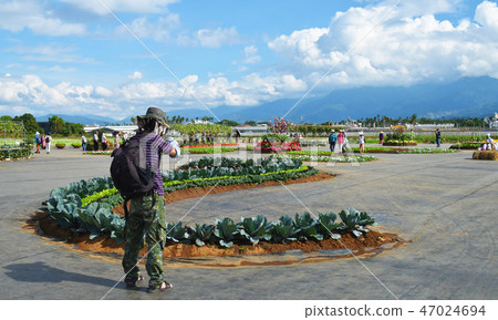 Genuine cloth-type garden landscape, attracting and attracting visitors. 47024694