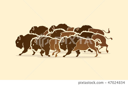 Group of buffalo running graphic vector Group of buffalo running graphic vector 47024834