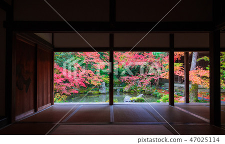 Autumn leaves of Kyoto Lotus Temple 47025114