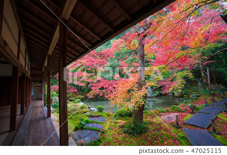 Autumn leaves of Kyoto Lotus Temple 47025115