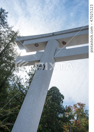 Torii Suwa Taisha 47025123