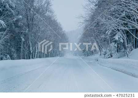 Midwinter's Kite / Winter Hokkaido Sightseeing Image Midwinter's Kite / Winter Hokkaido Sightseeing Image 47025231