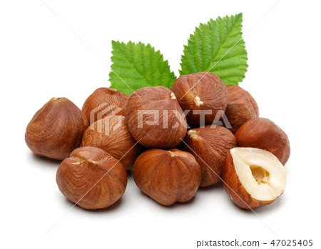 Hazelnuts and leafs on white background Hazelnuts and leafs on white background 47025405