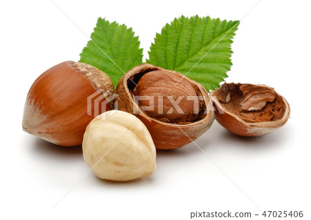 Hazelnuts and leafs on white background Hazelnuts and leafs on white background 47025406