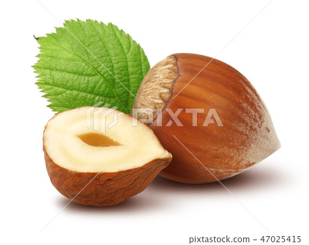 Hazelnuts and leafs on white background Hazelnuts and leafs on white background 47025415