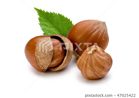 Hazelnuts and leaf on white background Hazelnuts and leaf on white background 47025422