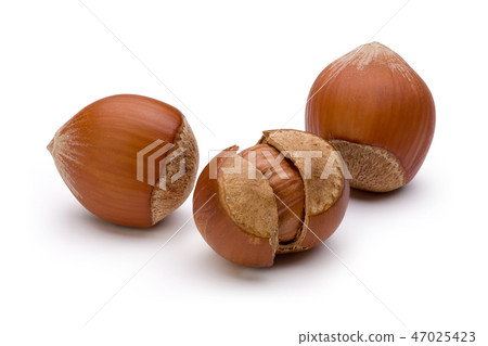 Hazelnuts isolated on white background. Hazelnuts isolated on white background. 47025423