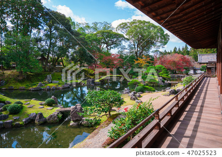 京都Daigoji Sanriyuin花園秋葉 京都Daigoji Sanriyuin花園秋葉 47025523