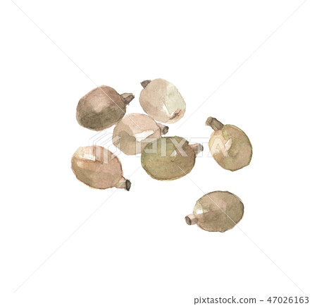 Shinobu冬季種子 Shinobu冬季種子 47026163