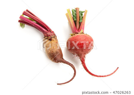 節拍 節拍 47026263