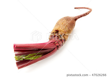 Beats Beats 47026266