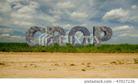 Large stone letters with the inscription CROP . 49 Large stone letters with the inscription CROP . 49 47027226