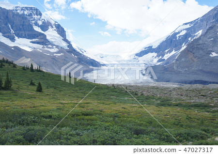 Columbia Great Icefield Columbia Great Icefield 47027317