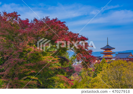 清水寺三重塔,京都秋天 清水寺三重塔,京都秋天 47027918