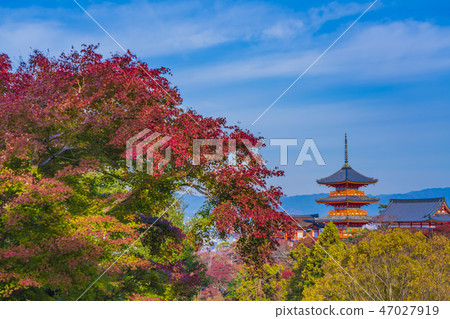 清水寺三重塔,京都秋天 清水寺三重塔,京都秋天 47027919