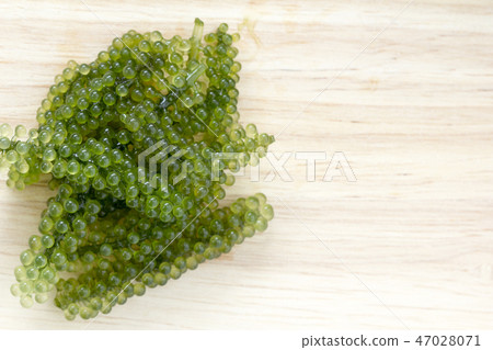 Sea grapes or green caviar on wooden background. 47028071