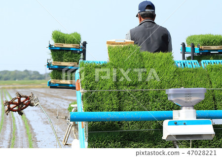種植與米移植器的男性圖像米 47028221
