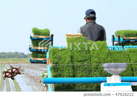 種植與米移植器的男性圖像米 47028222