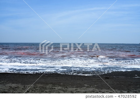 茅崎海岸紅潮 47028592