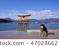 Otorii and Deer 47028662