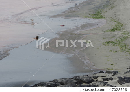 red tide red tide 47028728