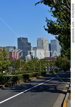 從東京地鐵Sakuradamon站和高層建築區的道路上拍攝的東京都千代田區永田町國民議會大樓前拍攝的照片 47029089