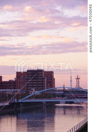 俯瞰著天空樹的夜景 47030048