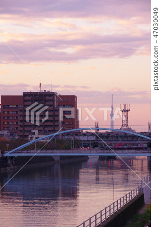 Evening view overlooking the Sky Tree 47030049