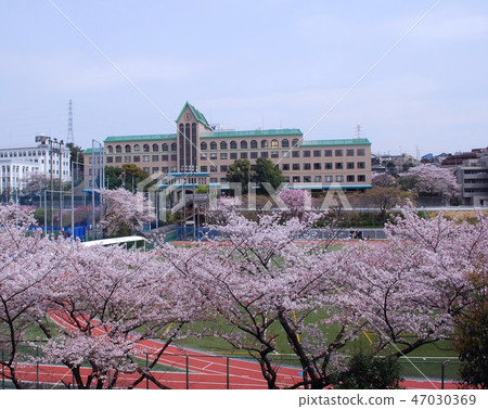 Aoba Ward, Yokohama City Shinishikawa Kokugakuin University Daisuke Tama Plaza Campus Aoba Ward, Yokohama City Shinishikawa Kokugakuin University Daisuke Tama Plaza Campus 47030369
